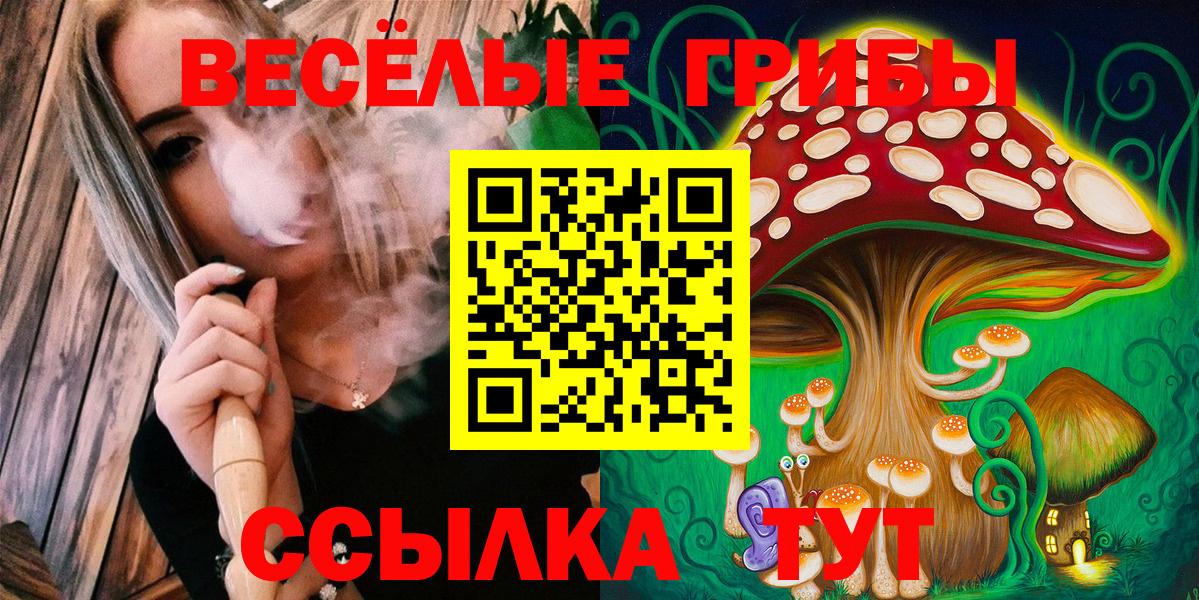 Боровичи  закладка  Вход с VPN  Псилоцибиновые грибы Cubensis 