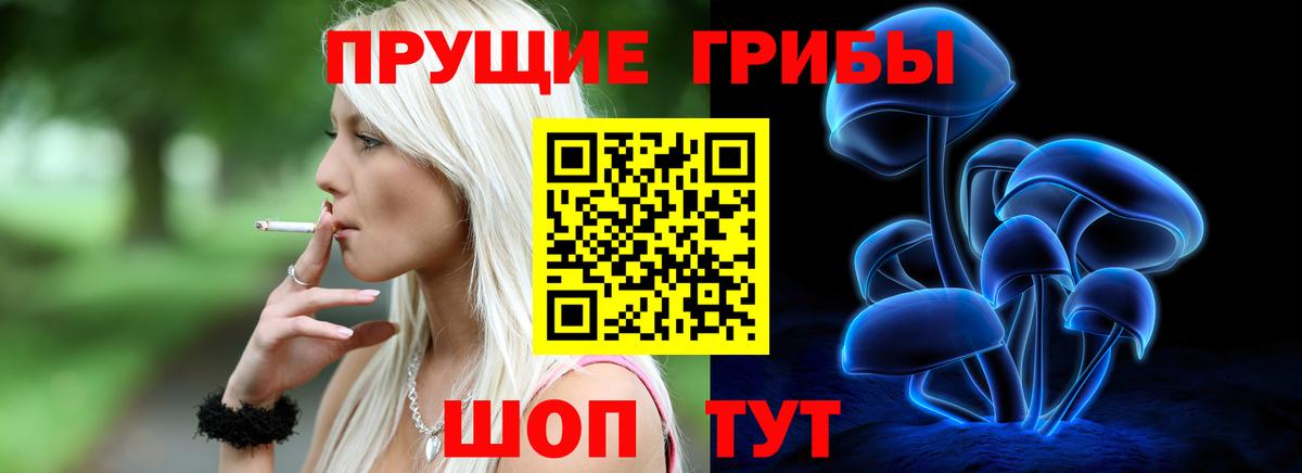 Галлюциногенные грибы GOLDEN TEACHER Боровичи